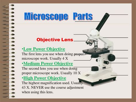 objective on a microscope|Understanding Microscopes and Objectives .